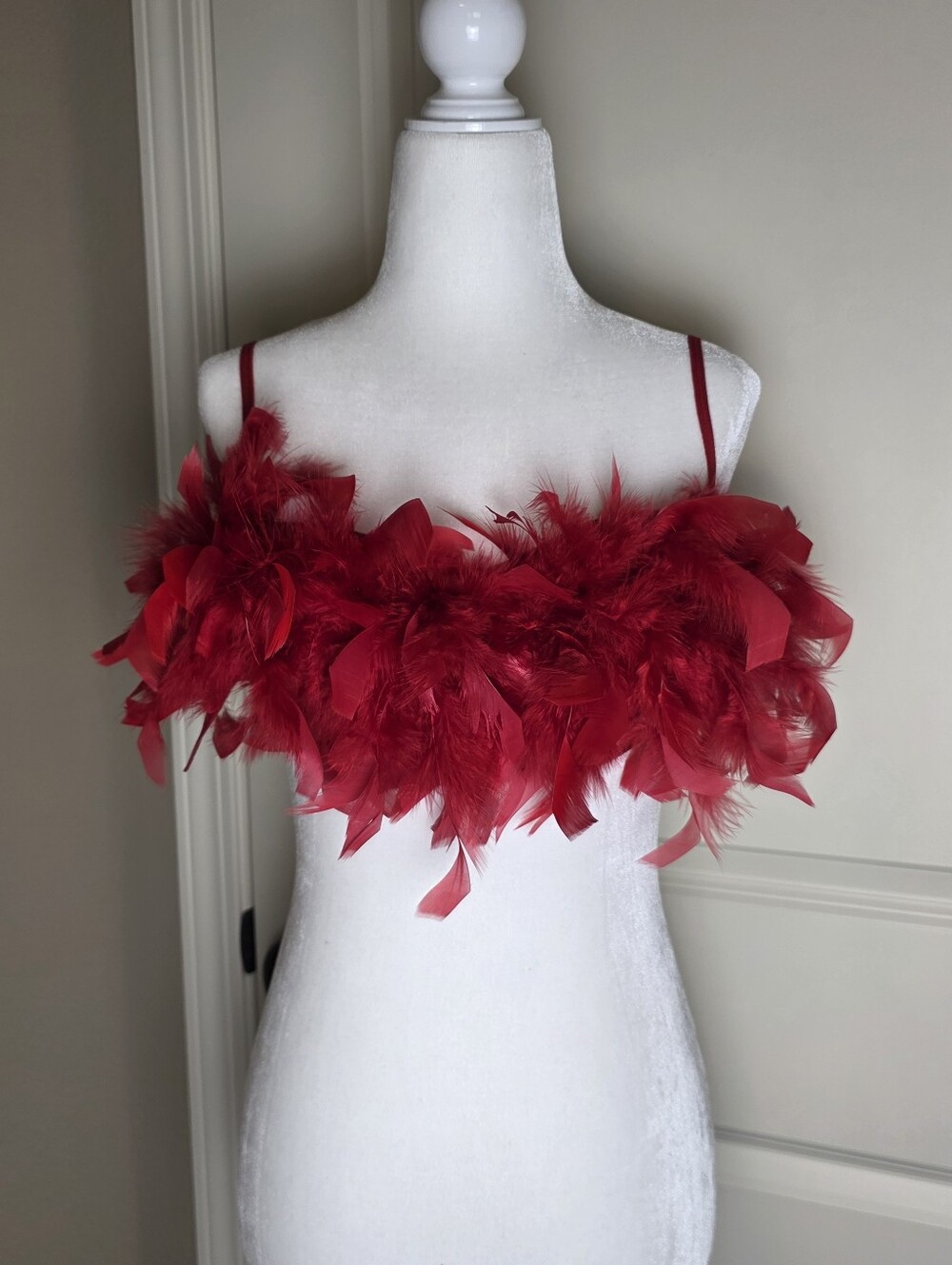 Sexy Red Feather Lingerie Set